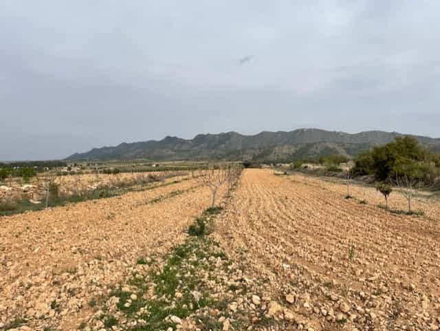 Land in Yecla, Murcia 10723450