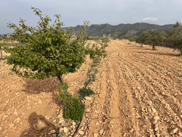 Tanah dalam Yecla, Región de Murcia 10723450