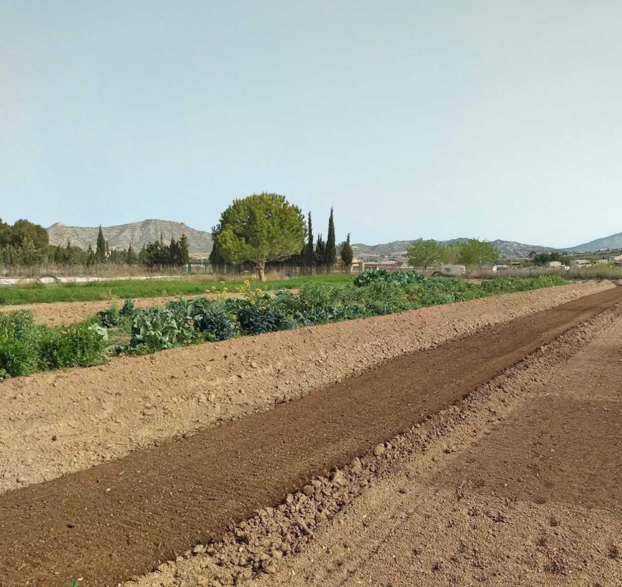 loger dans Aspe, Comunidad Valenciana 10723526