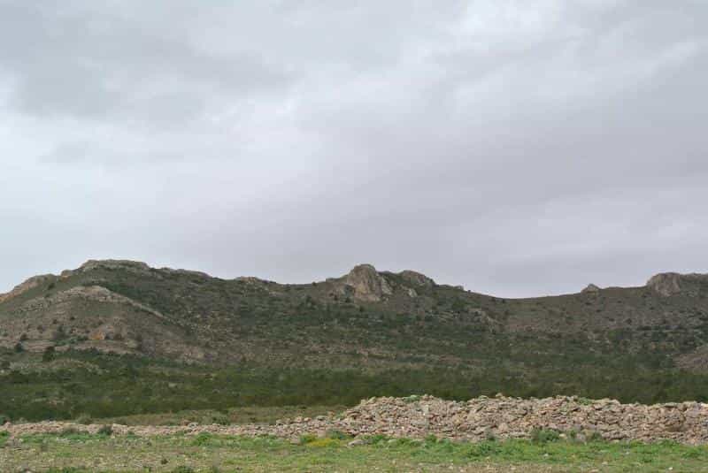 الأرض في Yecla, Región de Murcia 10723532