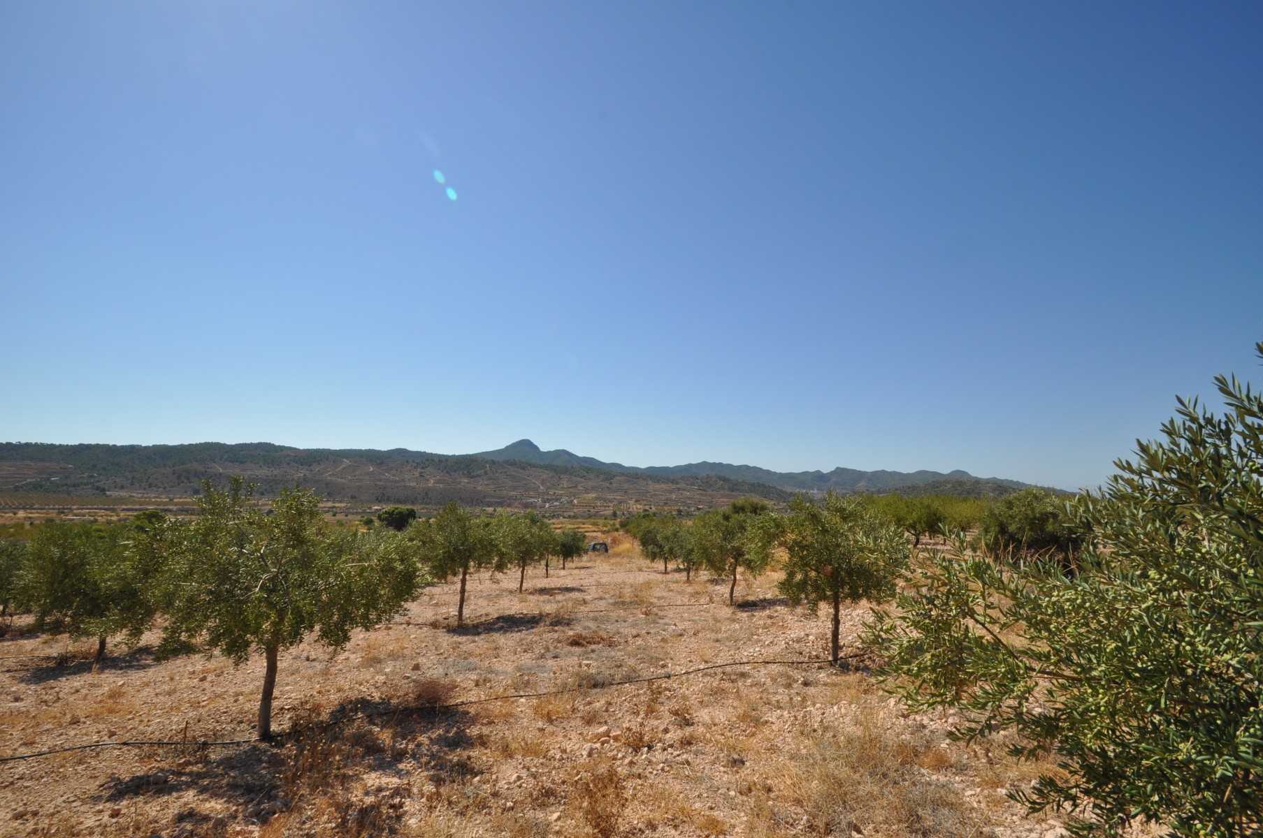 Tanah dalam Abanilla, Región de Murcia 10723564