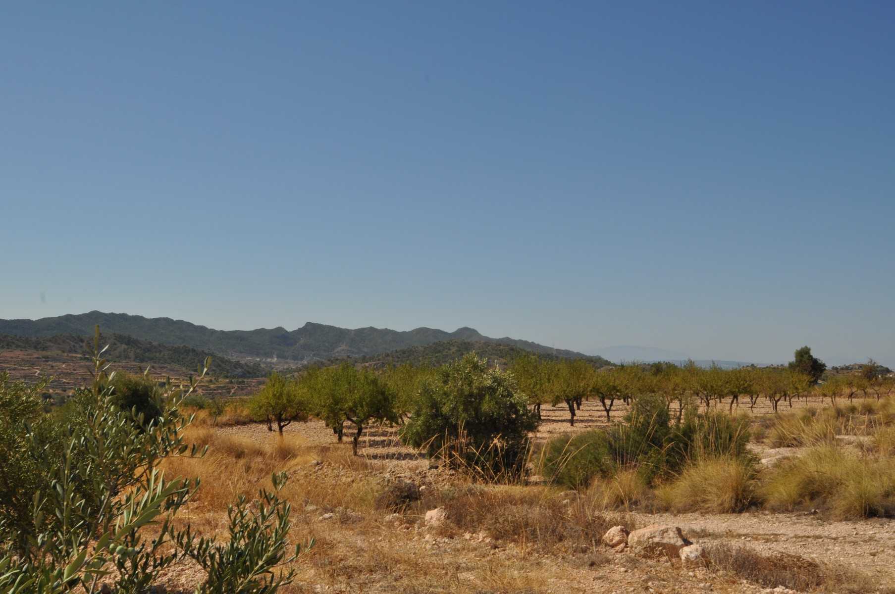 土地 在 Abanilla, Región de Murcia 10723564