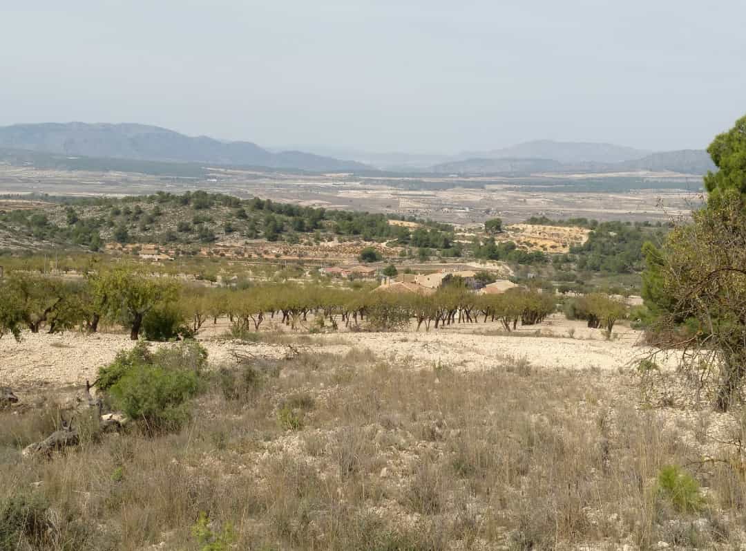 Land in Abanilla, Murcia 10723591