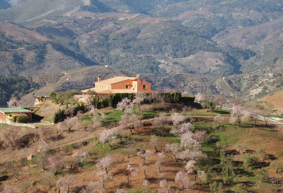 Dom w Alozaina, Andaluzja 10724157