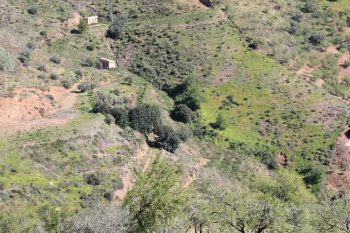 Tanah dalam El Borge, Andalucía 10724212
