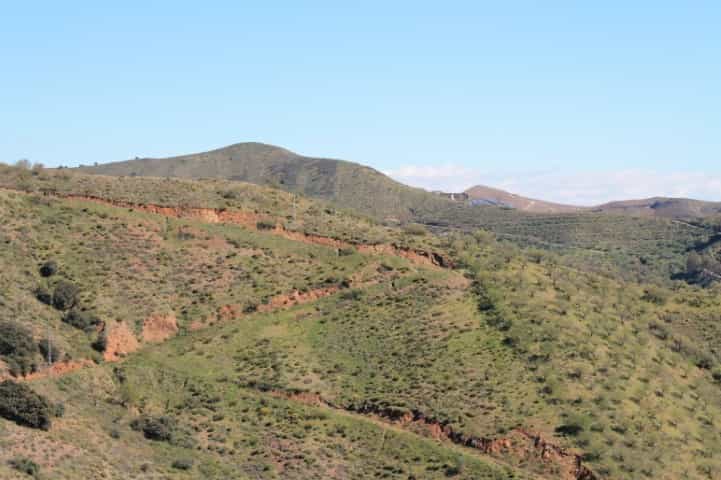 Land in Almachar, Andalusia 10724212