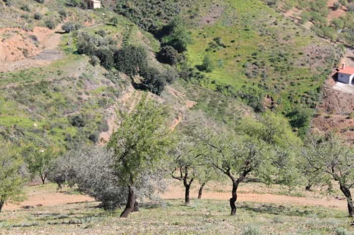 Land in Almachar, Andalusia 10724212