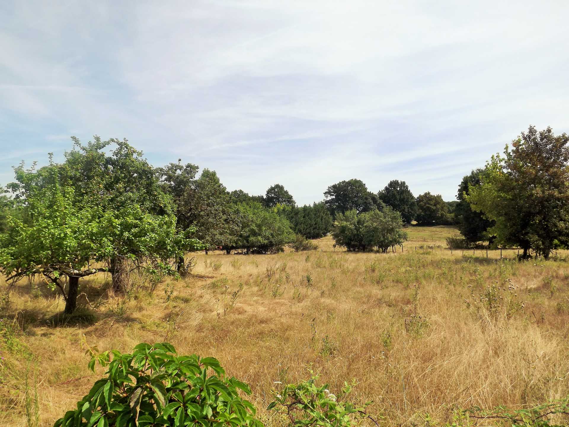 Land in Lavalade, Nouvelle-Aquitaine 10724669