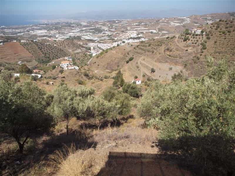 Hus i Algarrobo, Andalusien 10724702