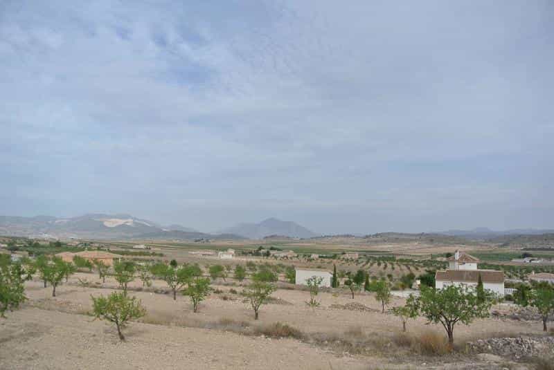 Land in Jumilla, Región de Murcia 10724890