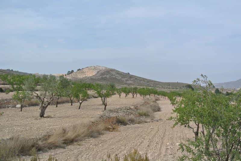 Land in Jumilla, Región de Murcia 10724890