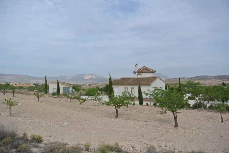 Land in Jumilla, Murcia 10724890
