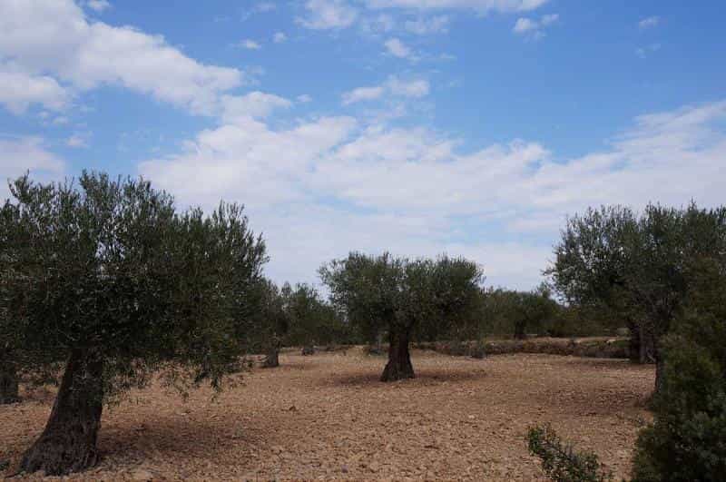 Land in Yecla, Murcia 10724892