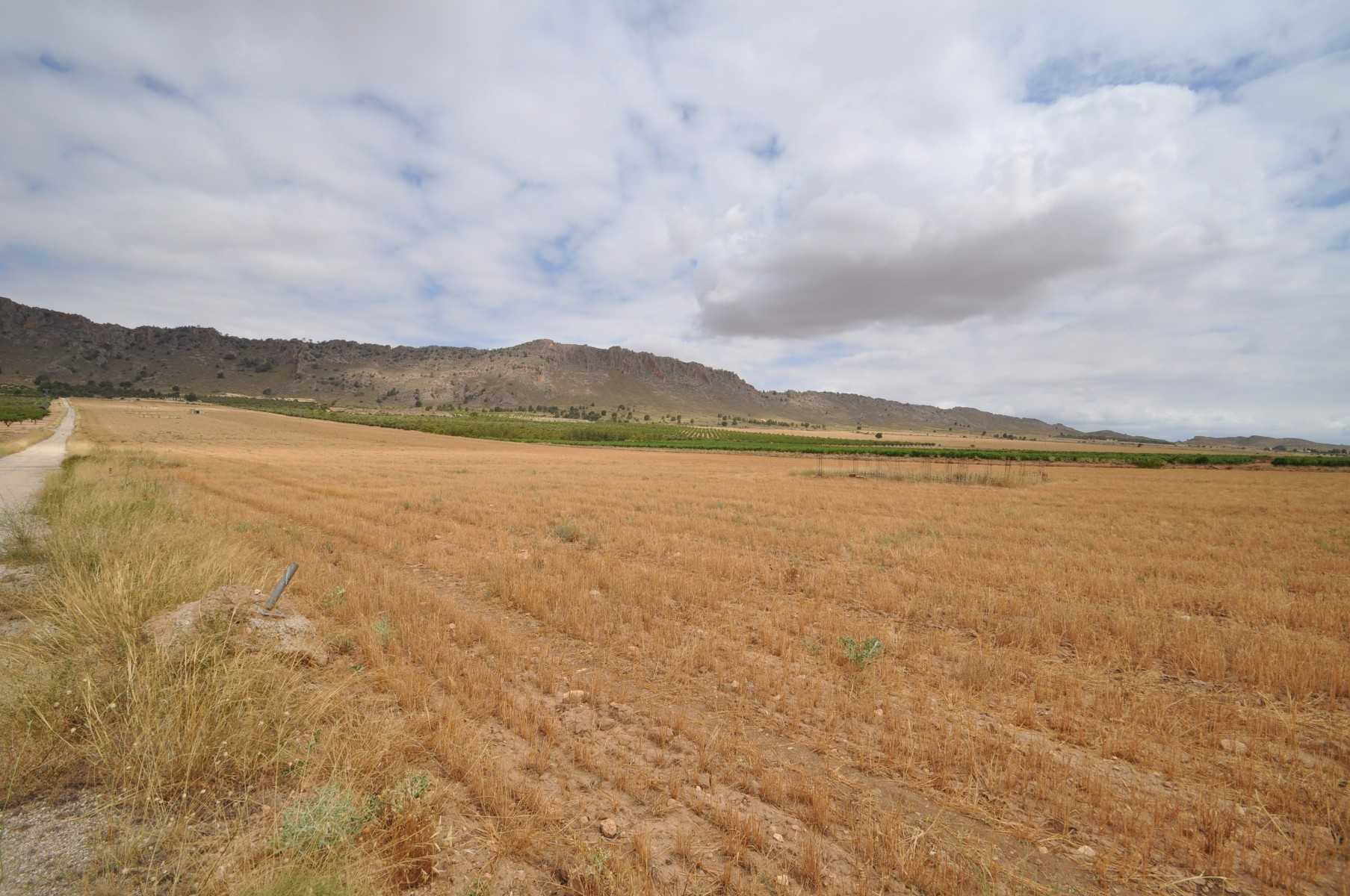 Land i Yecla, Región de Murcia 10725048