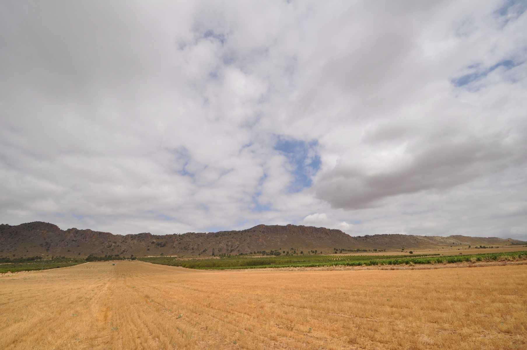 Land i Yecla, Región de Murcia 10725048