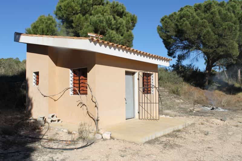 Будинок в Saix, Comunidad Valenciana 10725160