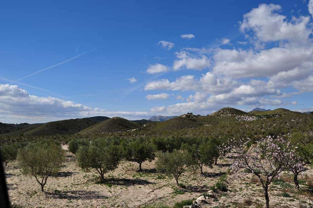 Tanah dalam , Región de Murcia 10725421