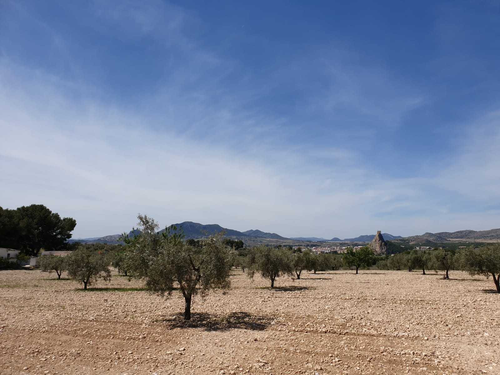 Land in Saix, Comunidad Valenciana 10725422