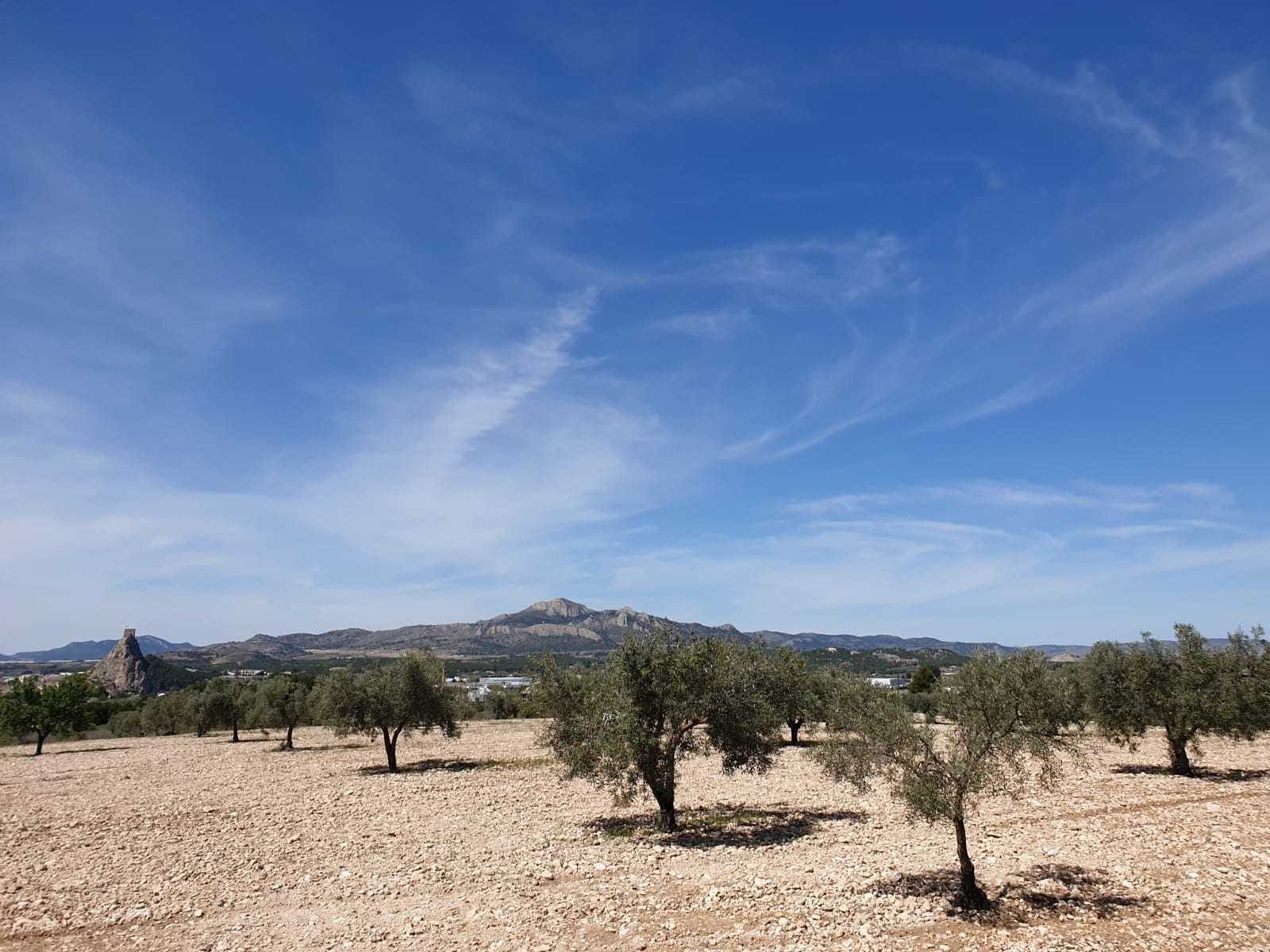 Land in Saix, Comunidad Valenciana 10725422