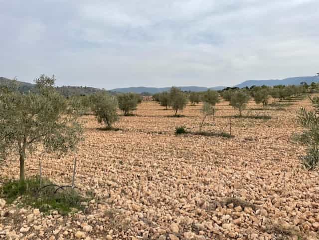 Tanah dalam Yecla, Murcia 10725479