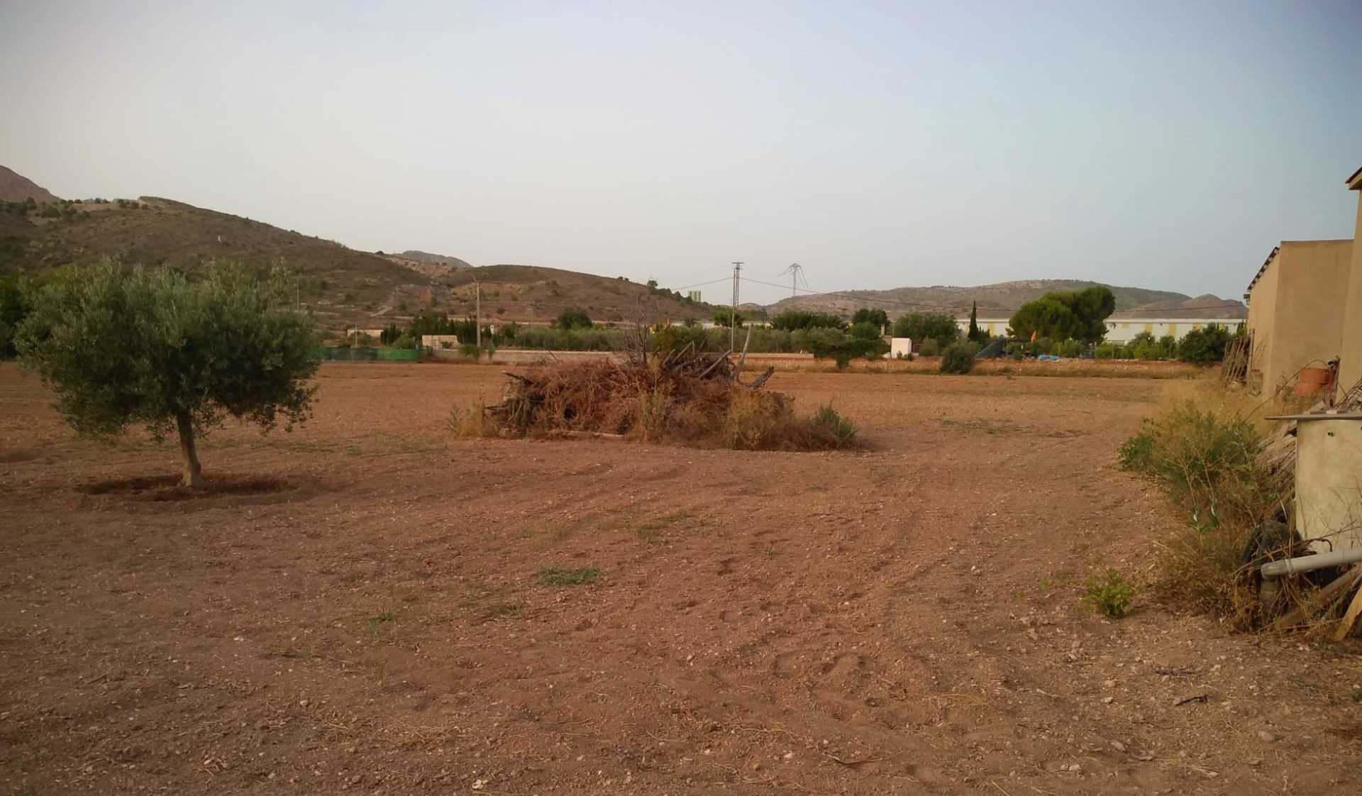 Tanah dalam Azafa, Valencia 10725484