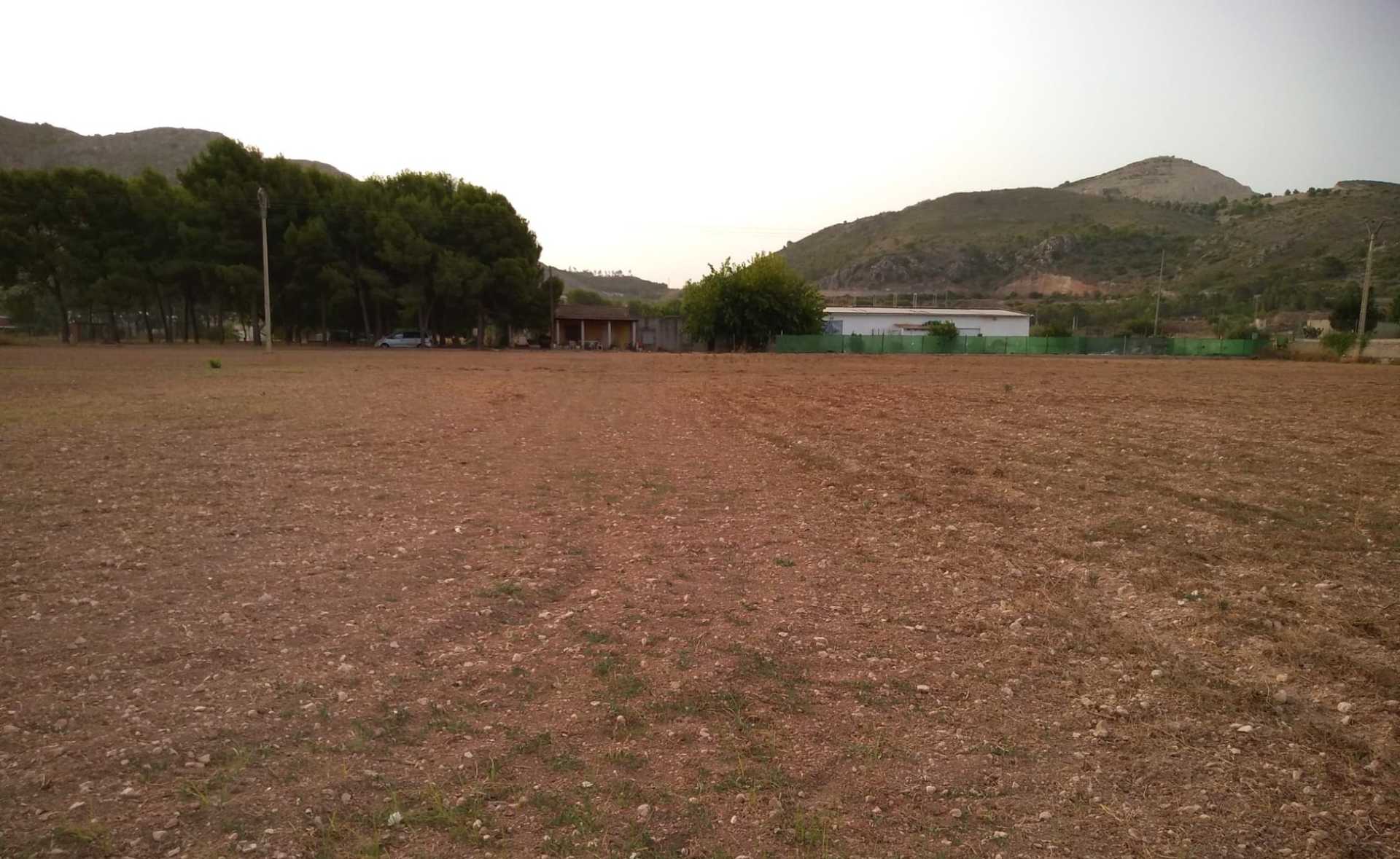 土地 在 Aspe, Comunidad Valenciana 10725484