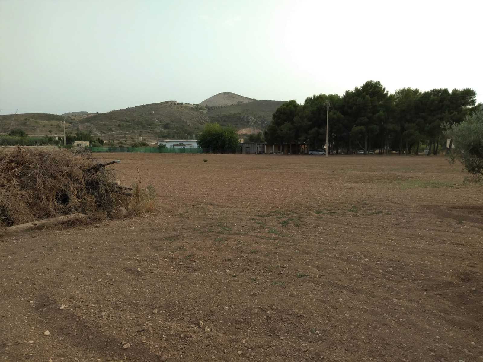 Tanah dalam Azafa, Valencia 10725484