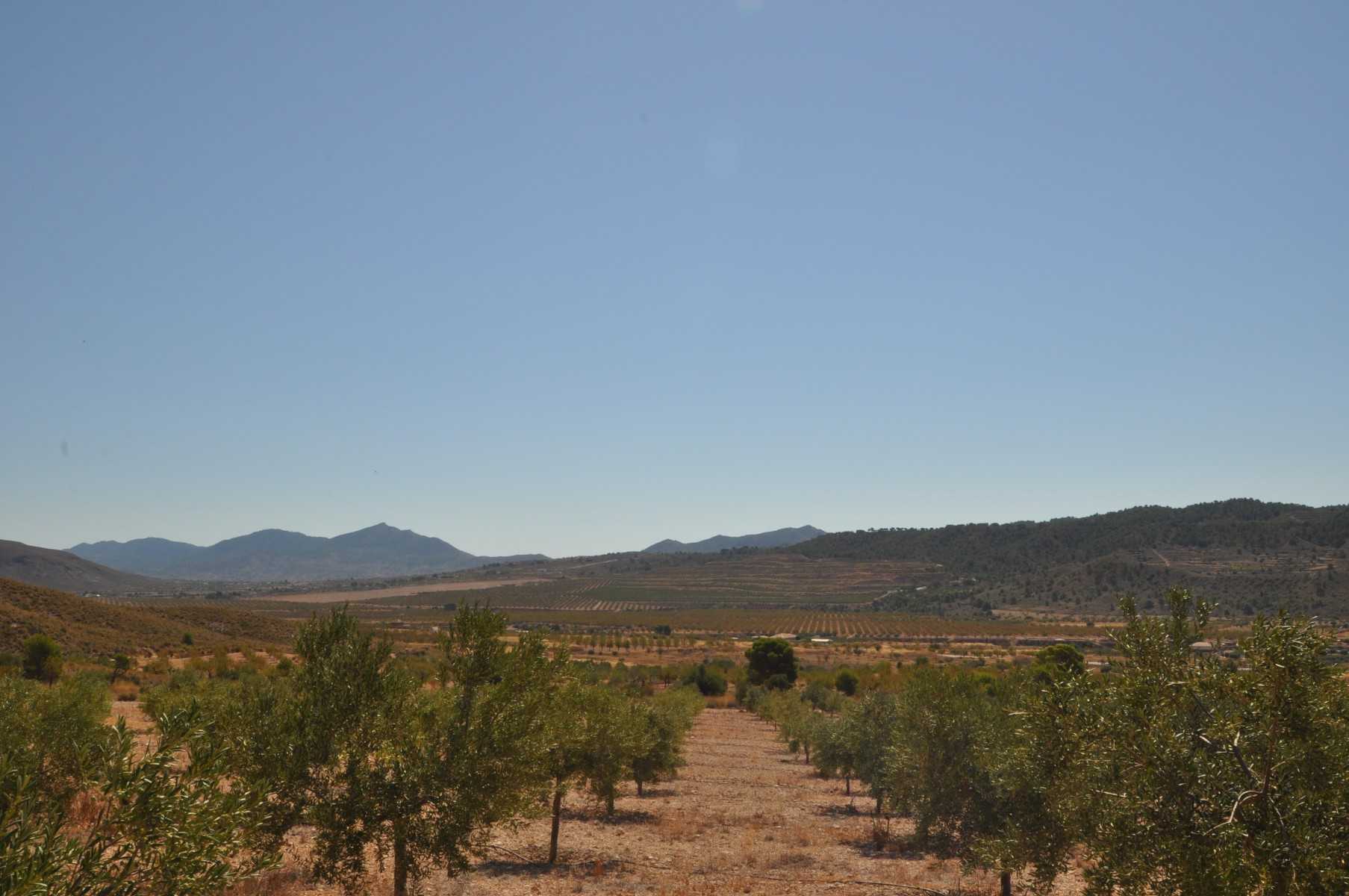 Tanah dalam Abanilla, Región de Murcia 10725584