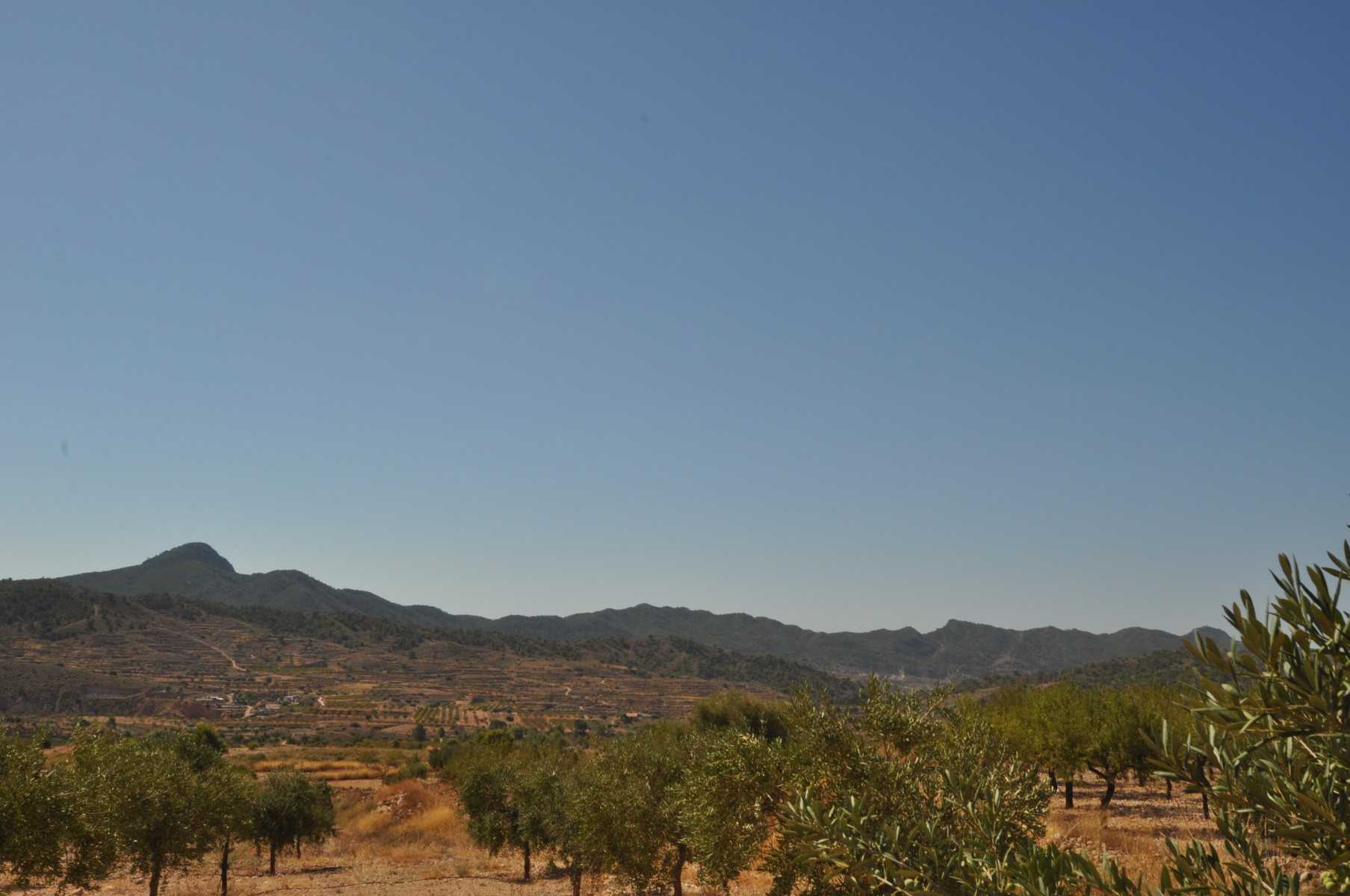 Tanah dalam Abanilla, Región de Murcia 10725584