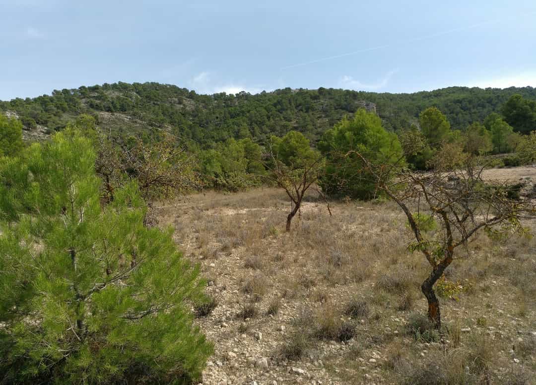 Tanah dalam Abanilla, Murcia 10725601