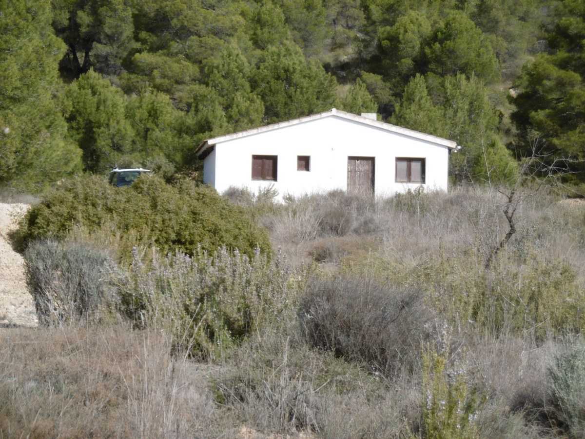 House in Yecla, Murcia 10725663