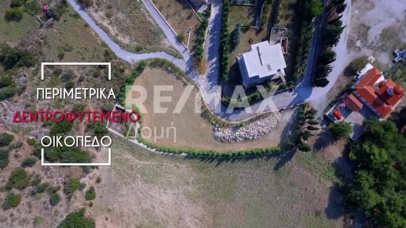 Tanah di Dimini, Tesalia 10726527
