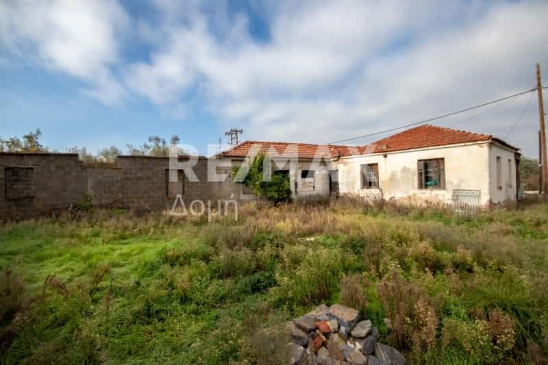 House in Almyros, Thessalia 10726626