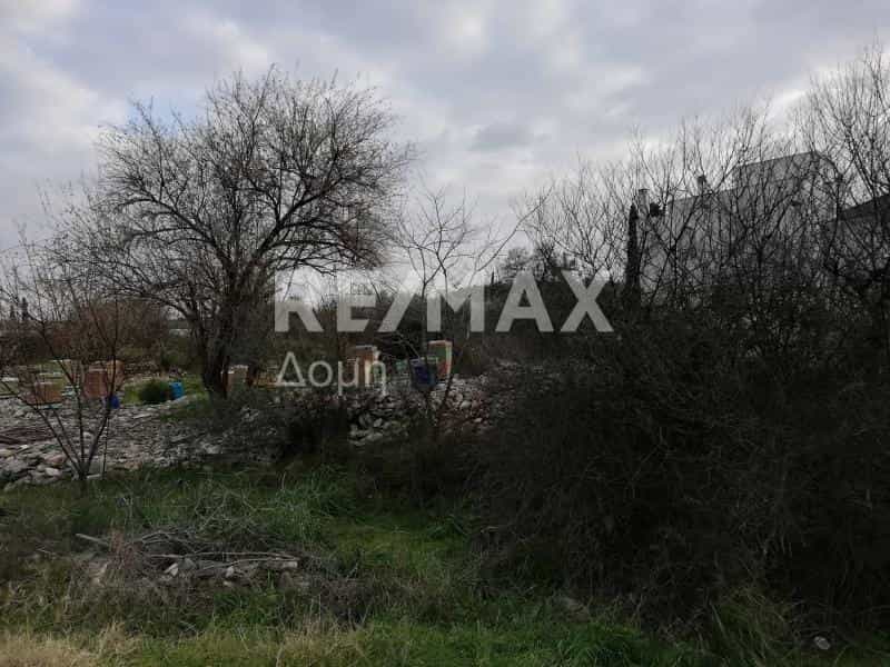 Land in Volos,  10726788