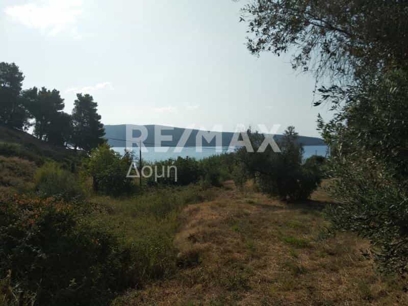 Tanah di Alonnisos, Tesalia 10726791