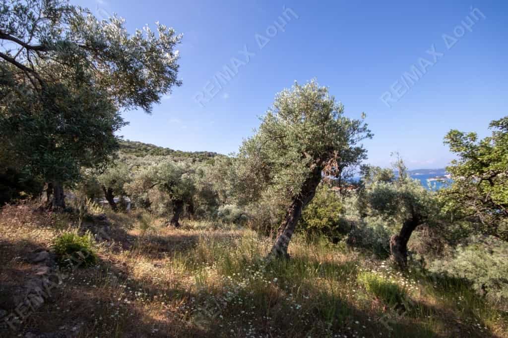 Land in Skiathos, Thessalië 10726860