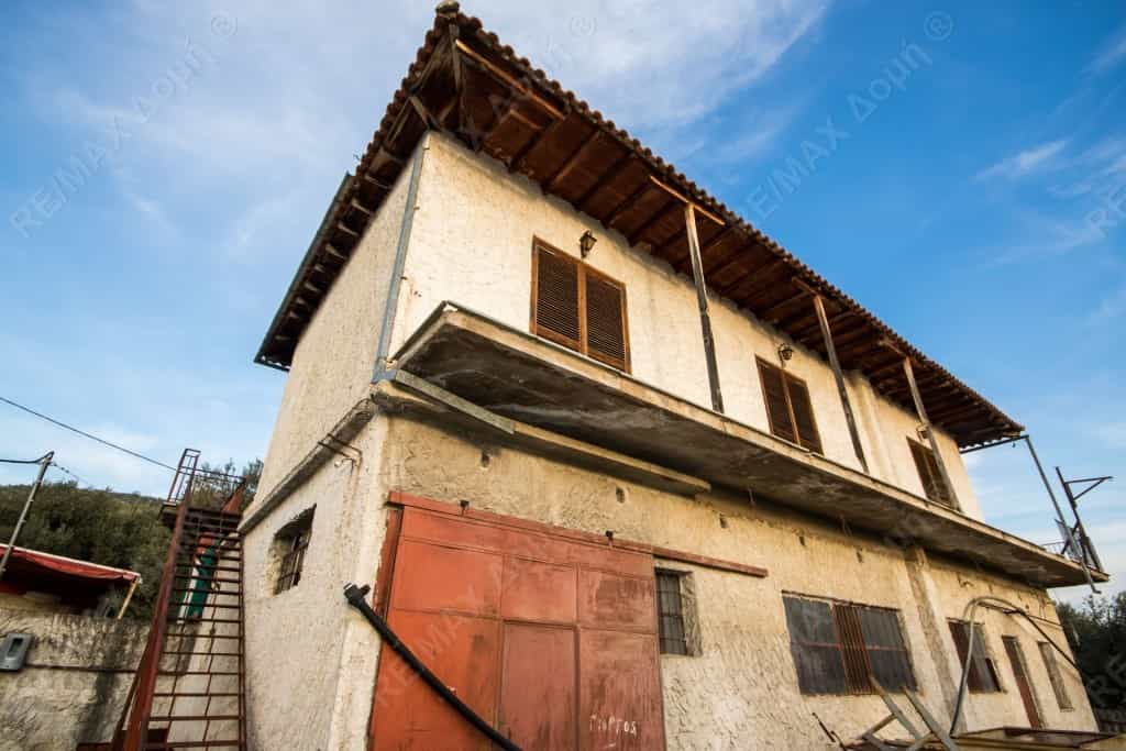 Dom w Fitoko, Tesalia 10726891