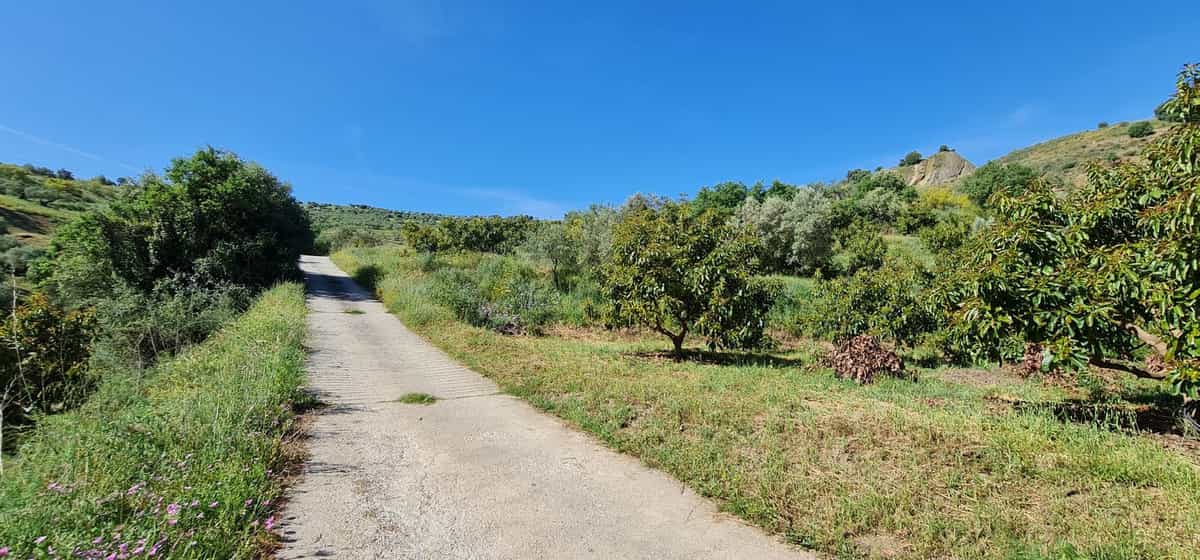 Tanah dalam Tolox, Andalucía 10728127
