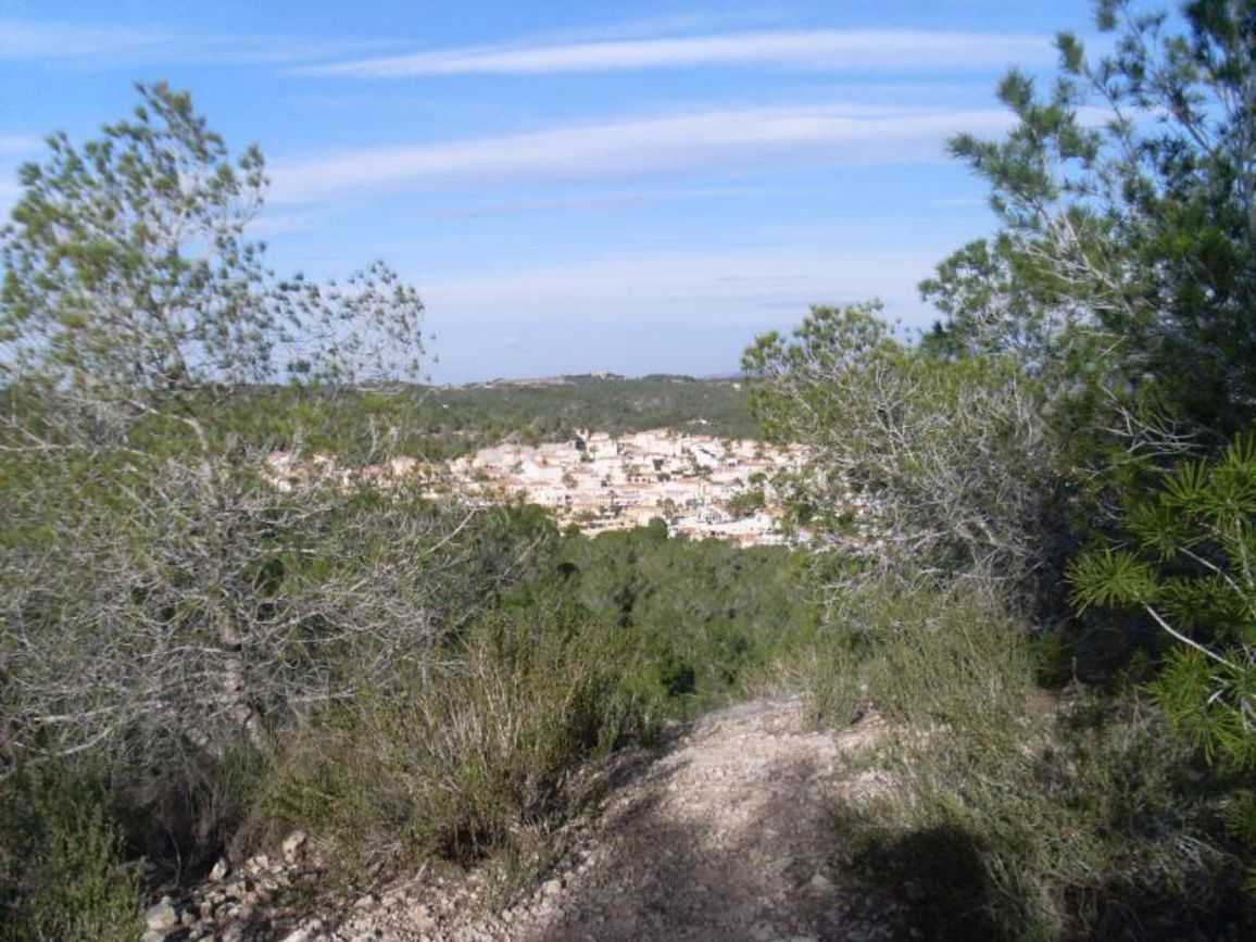ארץ ב San Miguel de Salinas, Comunidad Valenciana 10729958
