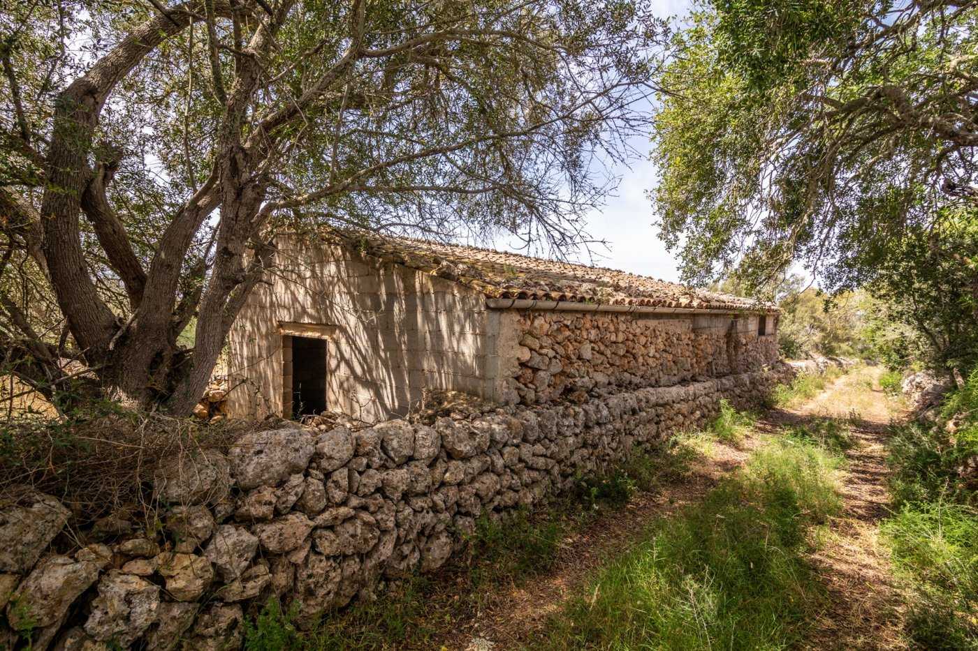 Casa nel Costitx, Isole Baleari 10732259