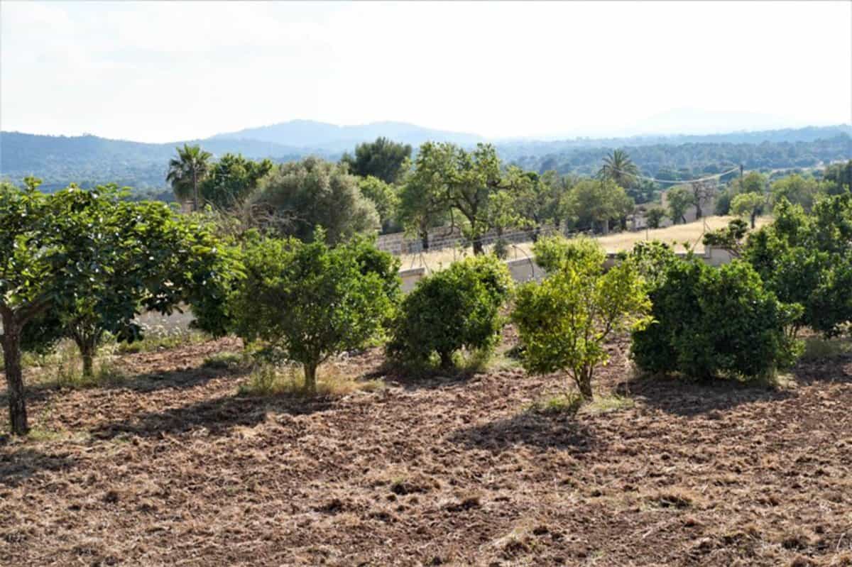 Land in Capdepera, Illes Balears 10732452