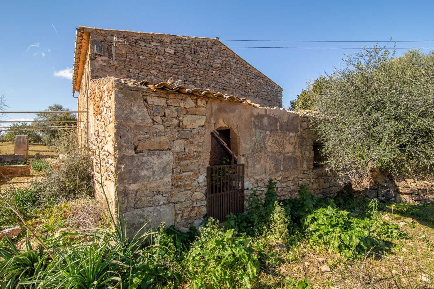 House in Petra, Illes Balears 10732860