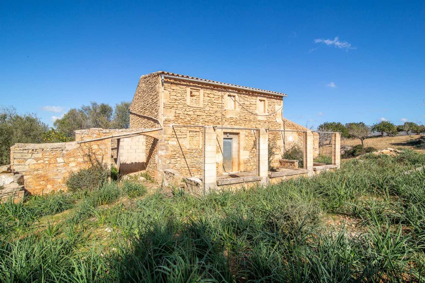 House in Ariany, Balearic Islands 10732860