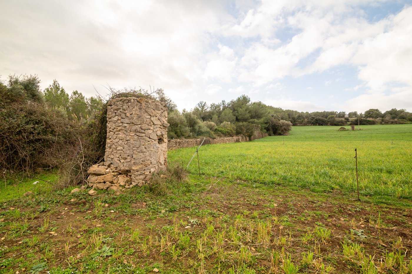 Talo sisään Artà, Illes Balears 10732894