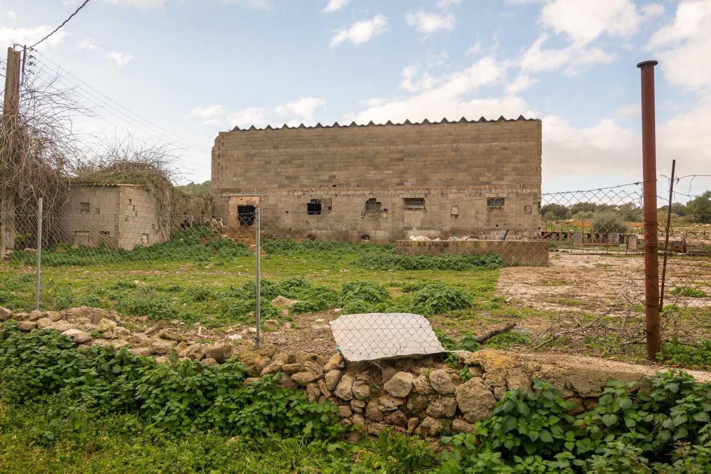 жилой дом в Колония-де-Сан-Педро, Балеарские острова 10732894