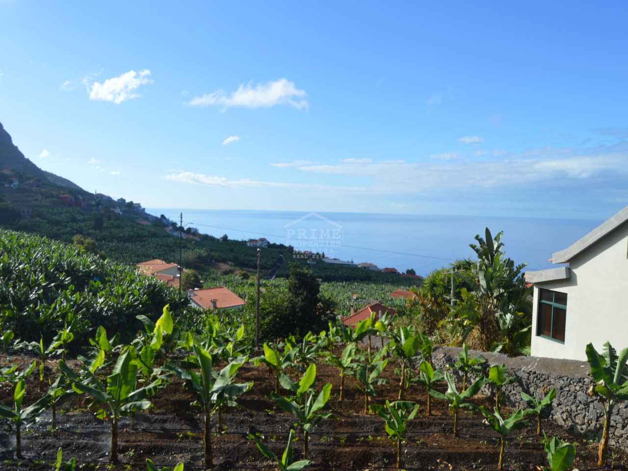 House in Achada de Cima, Madeira 10735442