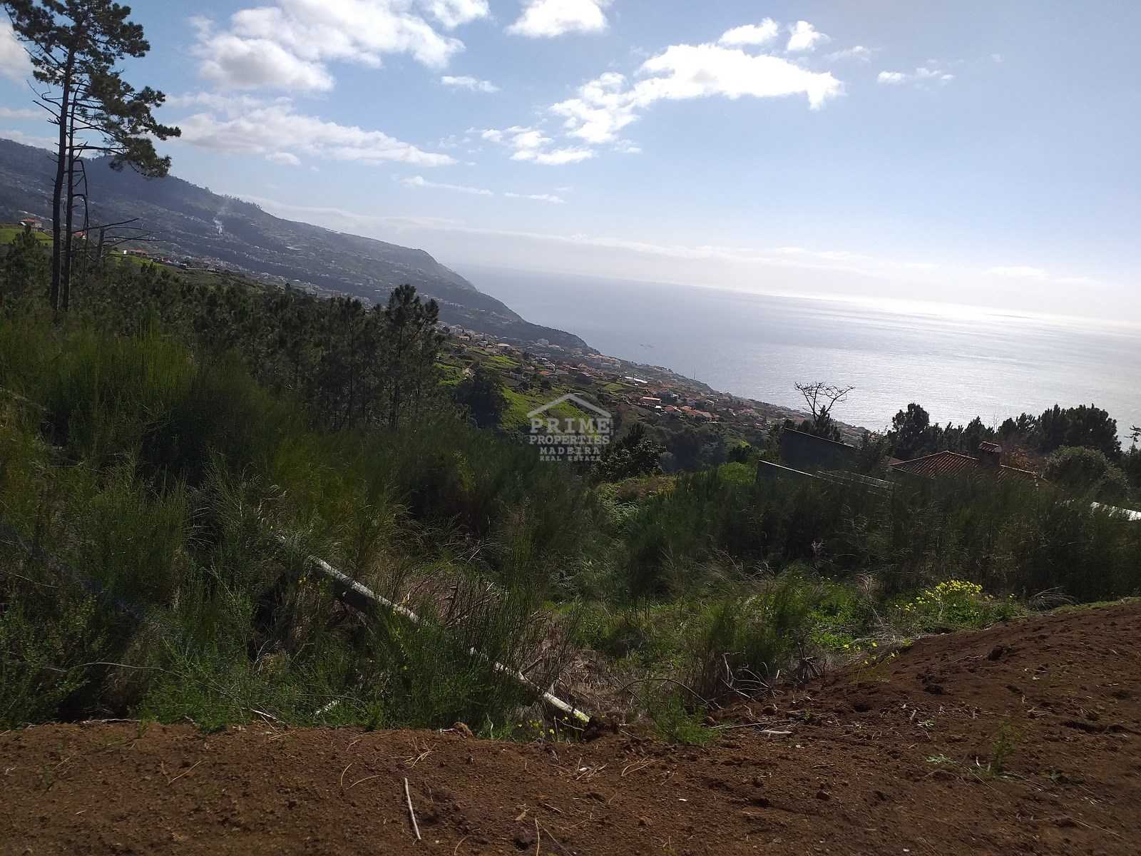 Land in Prazeres, Madeira 10735454