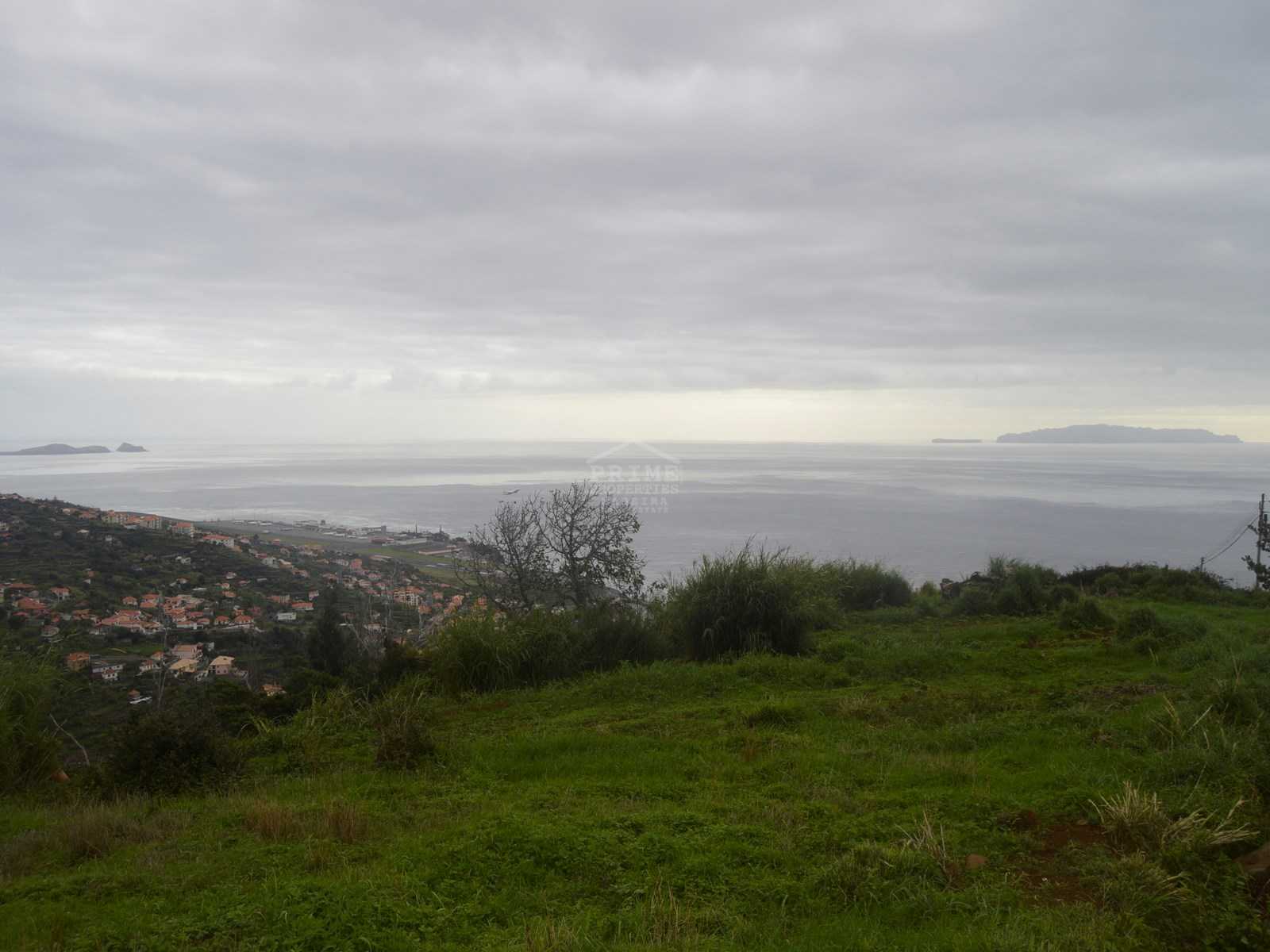 Land in Pinheiro, Madeira 10735459