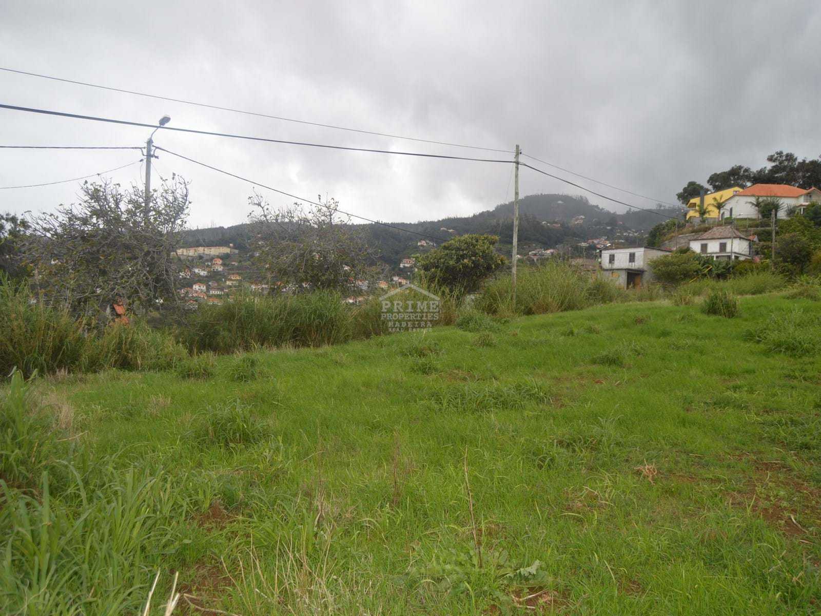 나라 에 Santa Cruz, Madeira 10735459