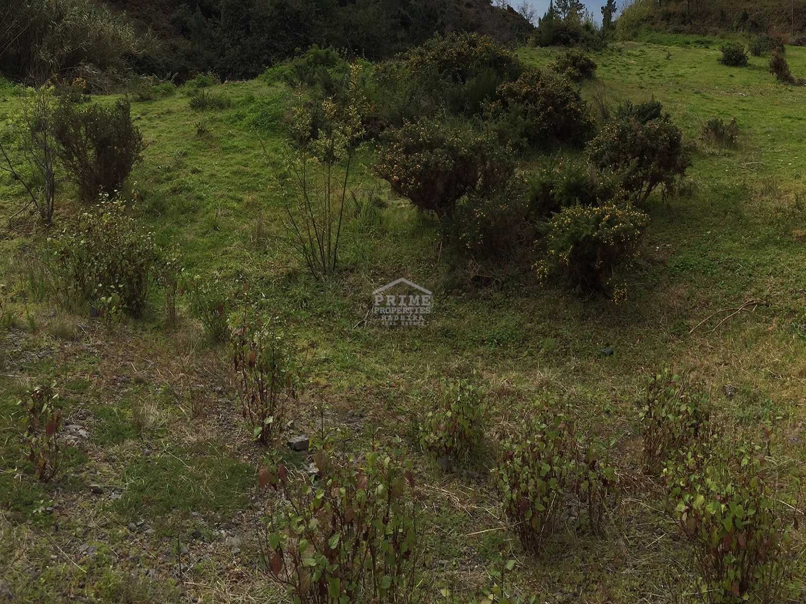 Tanah di Ribeira Brava, Madeira 10735461